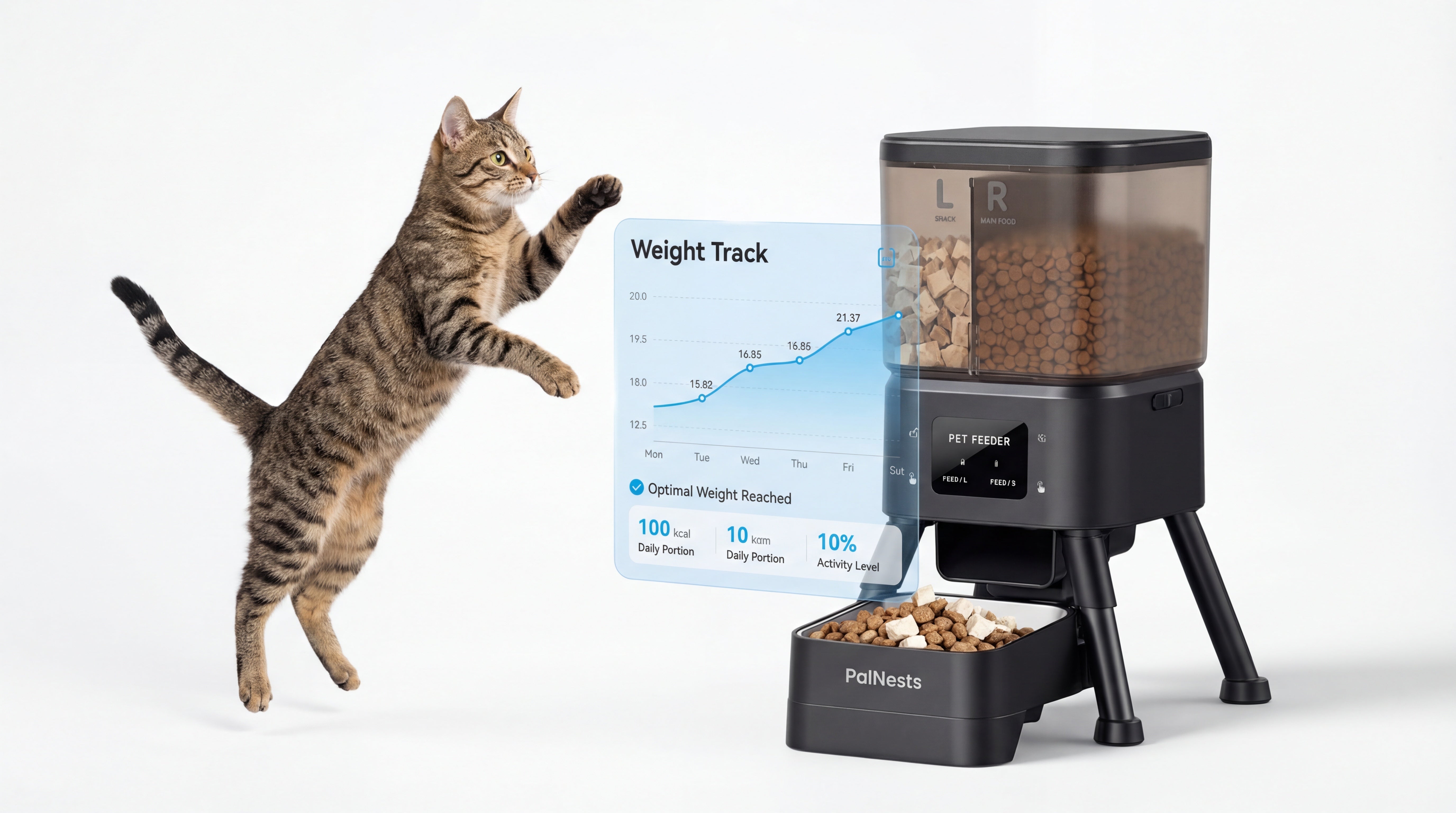 The Ultimate Cat Weight Loss Diet Plan: Why Your Automatic Feeder is the Key