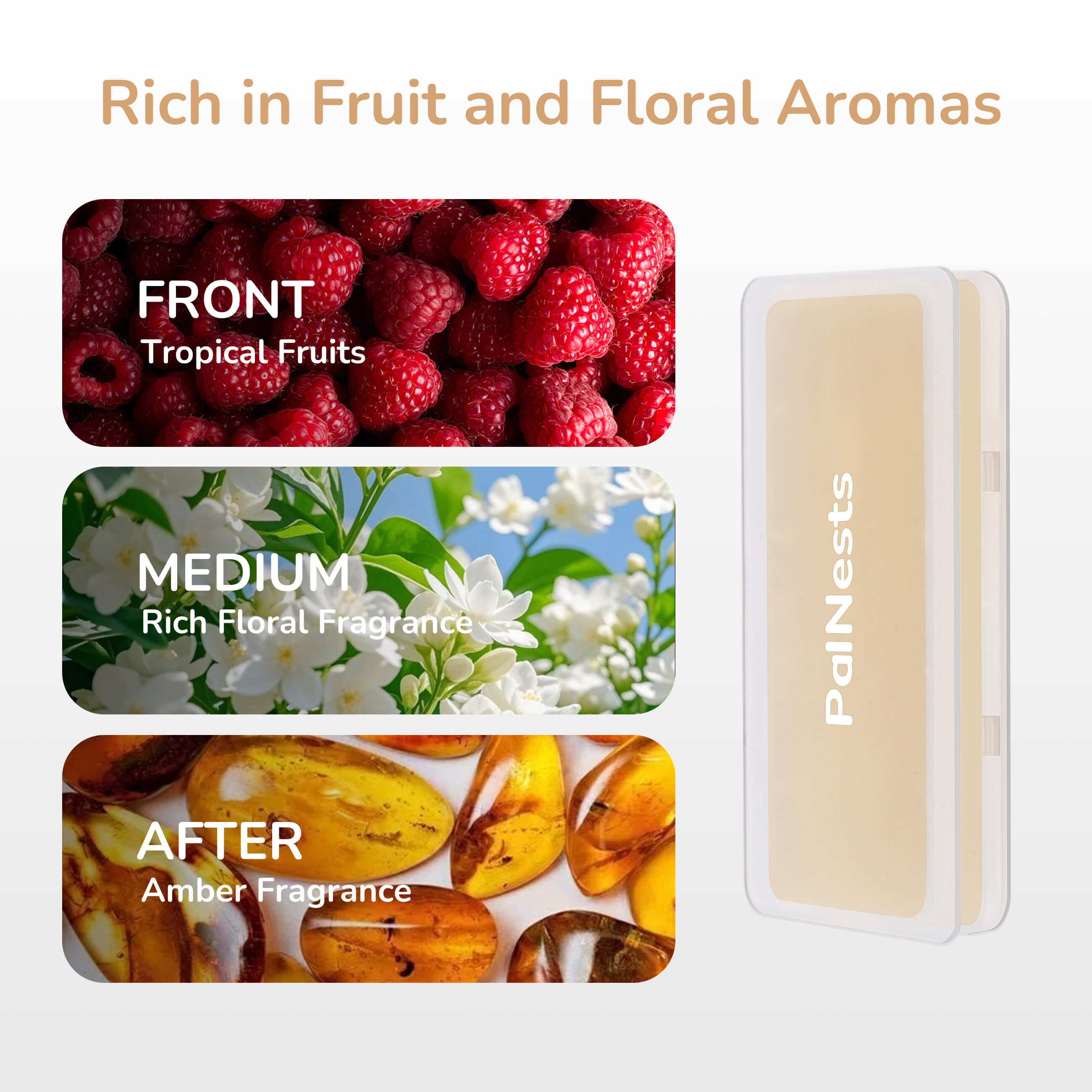 PalNests Odor Eliminator Blocks — Universal Fit for Litter Boxes(3-Pack)